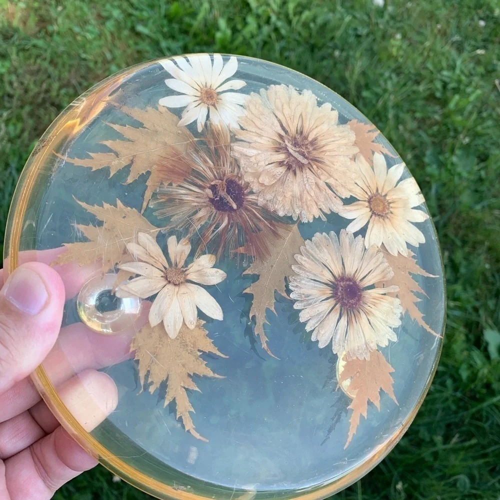 Vintage Acrylic Lucite Dried Flowers Trivet Hot Pad